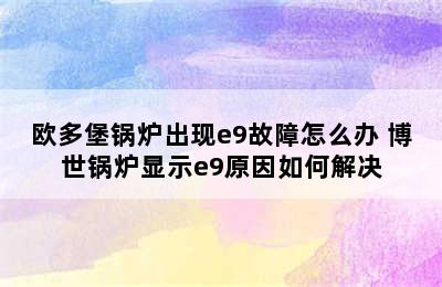 欧多堡锅炉出现e9故障怎么办 博世锅炉显示e9原因如何解决